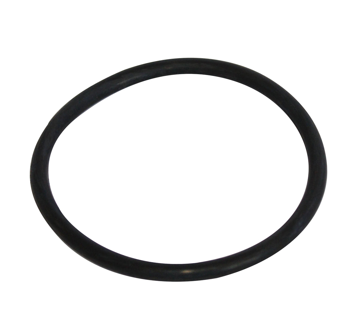 Fusion/Vision Collar O-Ring