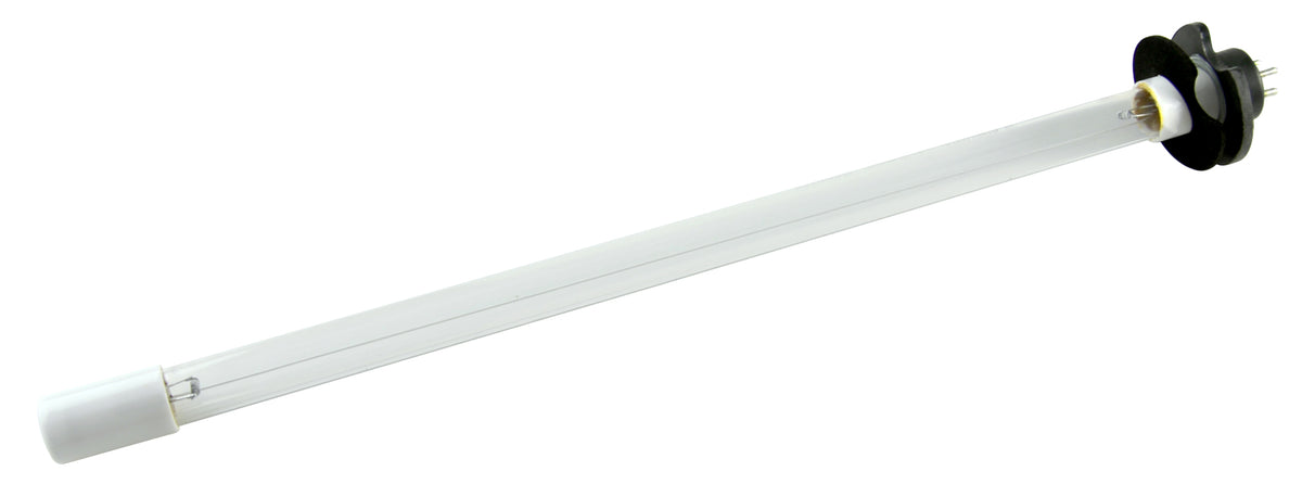 Clear 03 Lamp