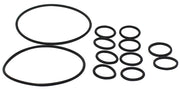 2-IN-1 BACKWASH ORING KIT