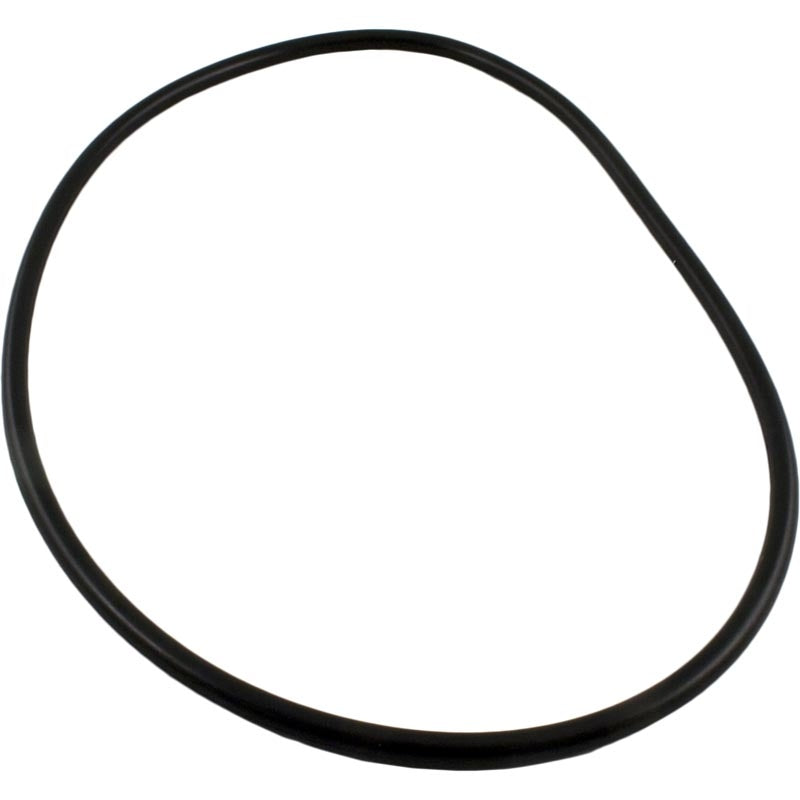 O RING, LID CLEARWATER 2