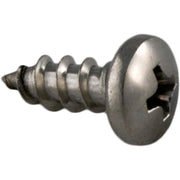 SS PAN HEAD SELF-TAP SCREW