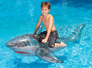 POOL SHARK