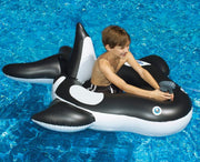 Orca Squirter