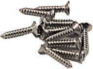 SCREWS F/STANDARD SKIMMER 10PK