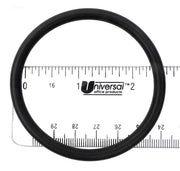 O-Ring Tank