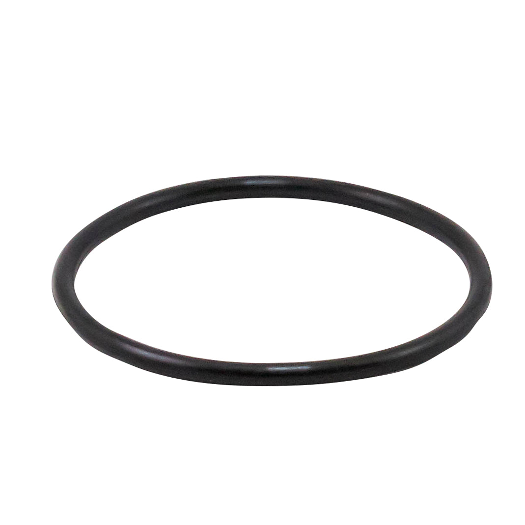 AQUAPURE EI MAIN O RING