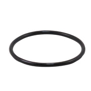AQUAPURE EI MAIN O RING