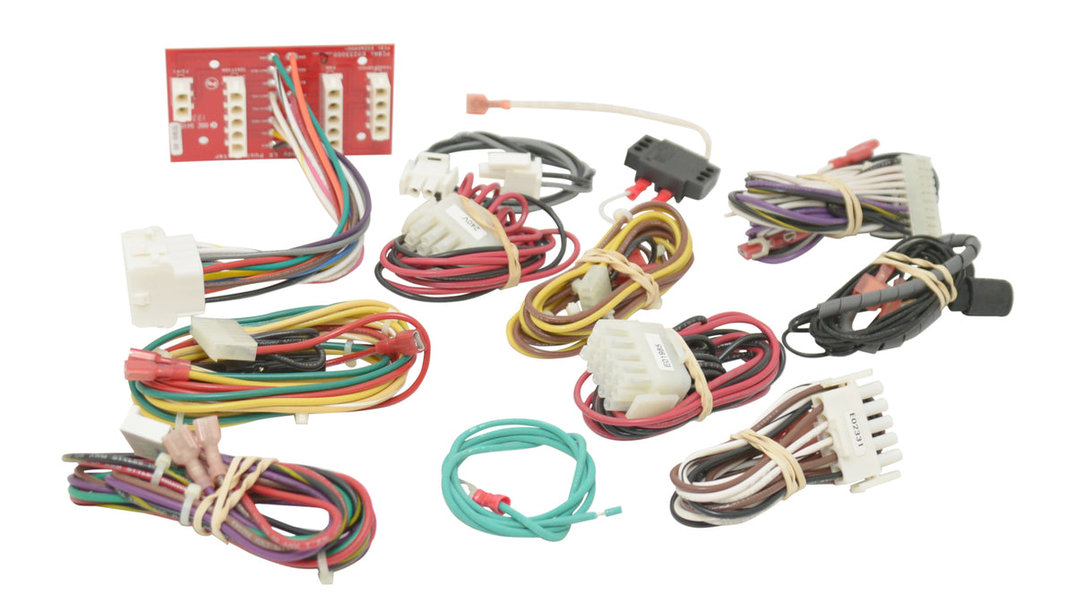 POOL/ SPA WIRE HARNESS W/ PCB