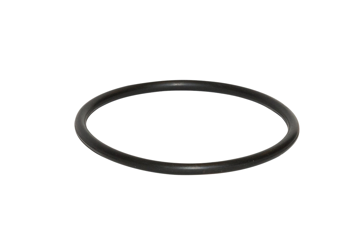 Jandy TruClear O-Ring Replacem