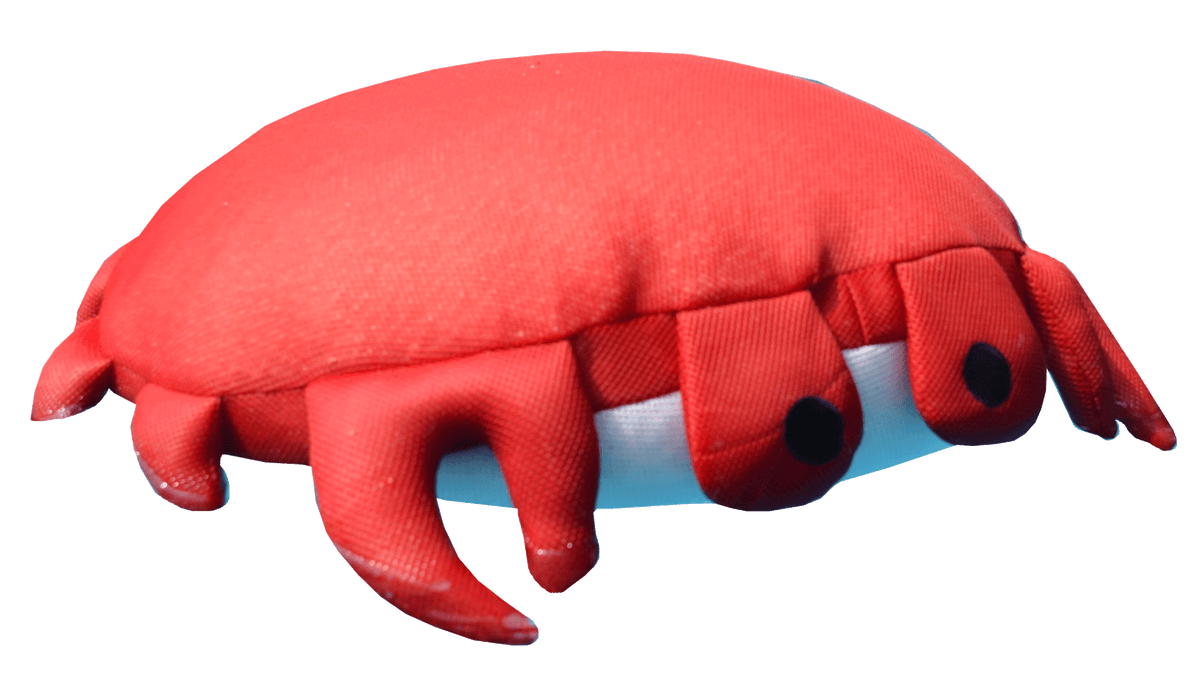 Sandy Seaside Rider, Crab