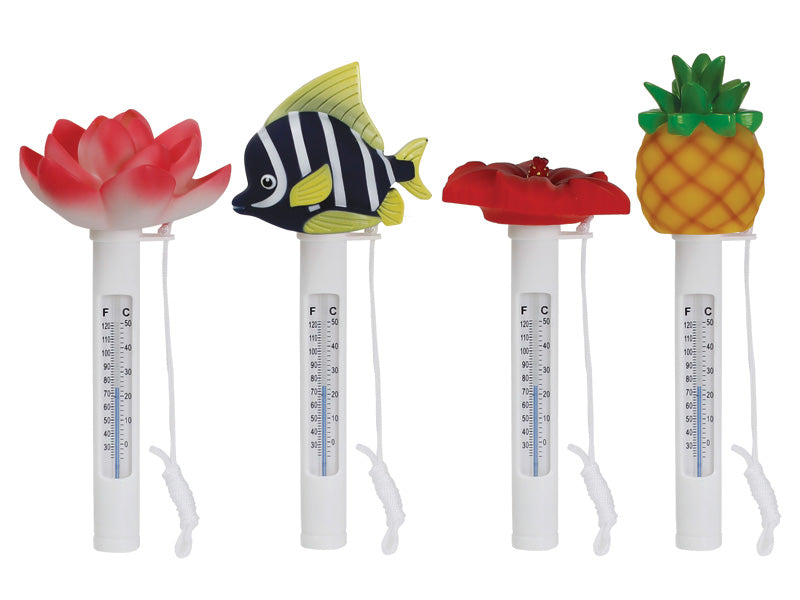 FUN DESIGN THERMOMETER DISPLAY