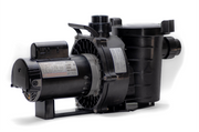 PRIMARY POOL PUMP