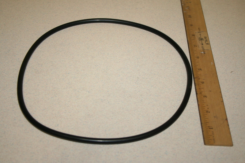 Oring, Clean/Clear Filter Body