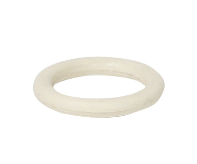 Pentair O-Ring Drain Plug - 192115Z