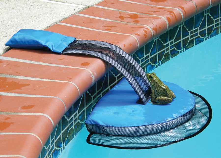 FrogLog Critter Saver Ramp