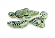 REALISTIC SEA TURTLE RIDE-ON