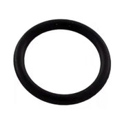 Pentair O-Ring Drain Plug - 192115Z